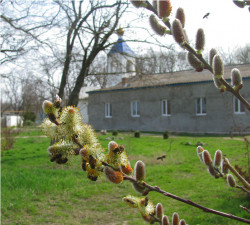 nataganich 
Вербное воскресенье 
2012-04-08 10:52:44