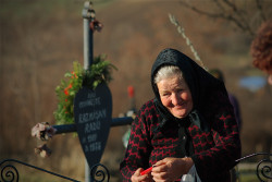 ovidiu_m 
 
174 
2012-04-10 18:59:23
