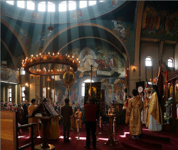tolmargarita 
ХРИСТОС ВОСКРЕСЕ! 
126 
2012-04-16 00:04:49