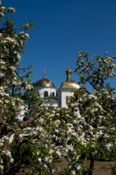o. Makariusz 
 
2012-04-16 14:07:27