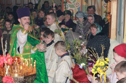 jarek 
Palm Sunday 2012 
2012-04-17 11:10:06