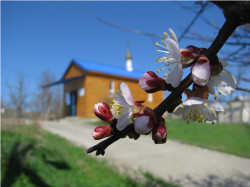 nataganich 
Светлая седмица 
2012-04-18 16:55:44