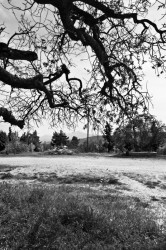 ierotheos 
 
2012-04-19 23:27:25