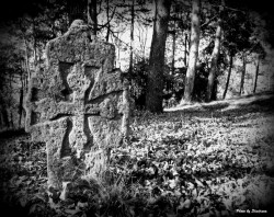 sladjana2 
†   
2012-04-20 13:43:00