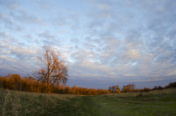 nowaewa 
*** 
2012-04-21 09:03:00