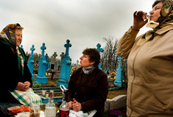 bazylia 
Prowody / Radunica 
2012-04-24 22:39:16