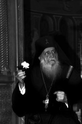 ierotheos 
 
2012-04-25 16:44:29