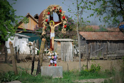 ovidiu_m 
 
2012-04-30 23:07:46