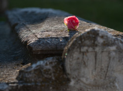 peter.kolchin 
*** 
2012-05-05 13:34:04