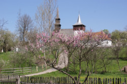 navzar 
sweet Transilvania  
2012-05-11 22:56:32
