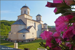 sladjana2 
Manastir Mileseva,Monastery Mileseva 
2012-05-14 11:23:39