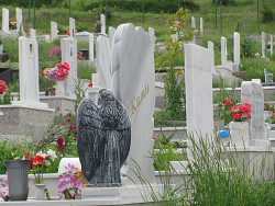 waniia 
 
2012-05-19 18:41:54