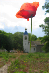 nataganich 
Майская зарисовка 
2012-05-25 14:20:42