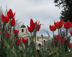 waniia 
Храм Свети Архангел Михаил 
2012-05-27 18:10:58