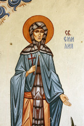 Anima_Mea 
св.Емилия 
2012-05-30 20:19:12