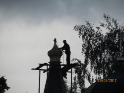 adelfes 7 
 
2012-05-31 18:08:10