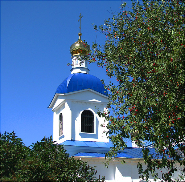 Вишня