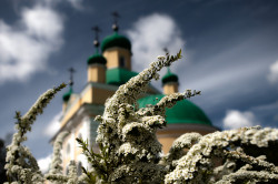 kcenia.belova 
Цветет спирея... 
108 
2012-06-01 05:02:07