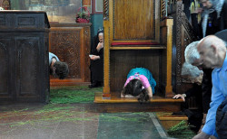 AleksaSrbin 
недеља на Духове 
2012-06-03 13:50:04