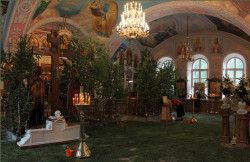 tolmargarita 
В храме на Троицу 
2012-06-05 20:16:33