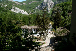 Anima_Mea 
Черепишки манастир Успение на Пресвета Богородица 
2012-06-06 20:35:49