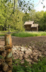 Sofia-8 
Я люблю тебя жизнь 
2012-06-06 22:49:11