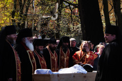 kcenia.belova 
Погребение монаха 
78 
2012-06-08 05:16:18