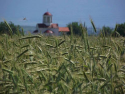 Nikolay_BG 
Chapel in the field - 2 
108 
2012-06-08 21:53:50