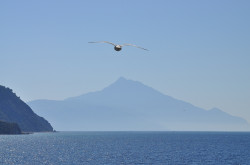 bogdan 
w drodze na Athos 
2012-06-19 11:17:38