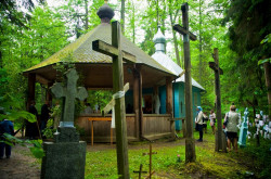 bazylia 
 
2012-06-23 11:29:16