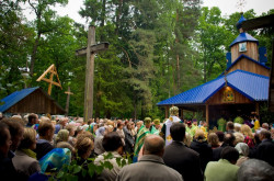 bazylia 
 
2012-06-23 11:29:49