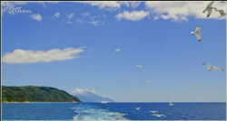 numeprenume 
 
2012-06-23 12:49:35