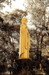 Roman Kovalevsky 
Памятник Илье Муромцу 
2012-06-24 13:46:24