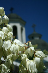 Anima_Mea 
 
2012-06-24 23:13:27