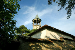 Anima_Mea 
 
2012-06-27 21:19:03