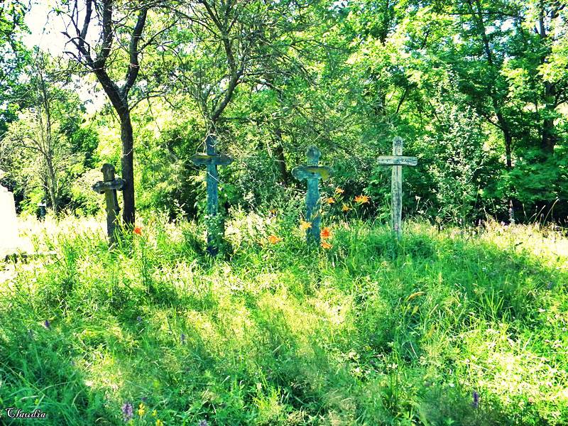 Cimitir - Iercoşeni, jud. Arad