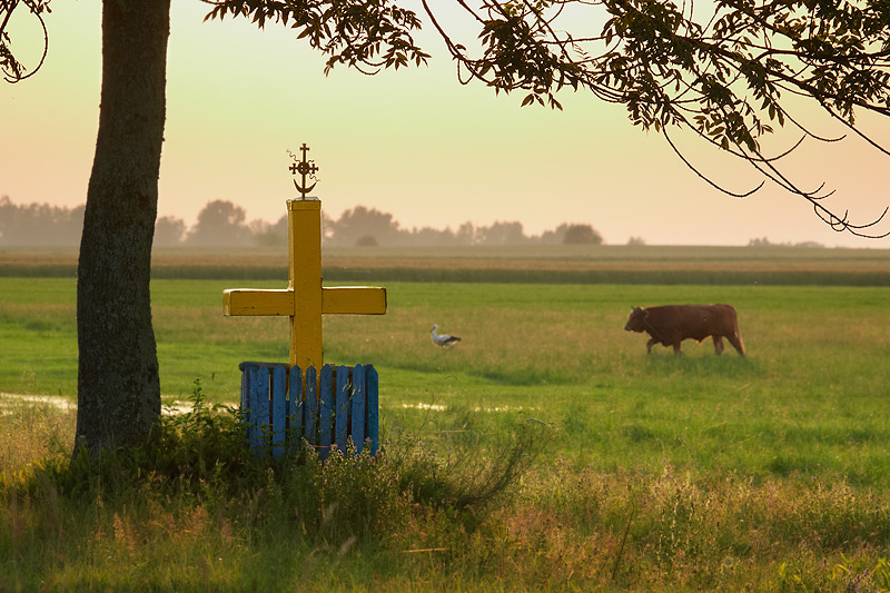 Podlaska różnorodność