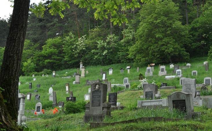 Jimbor Village Cemetery in the Woods