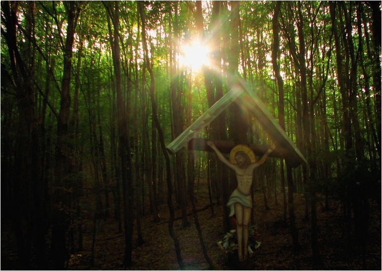 The Sun before the sun