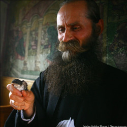nichitus 
Precum in cer, asa si pe pamant 
105 
2012-07-06 23:31:41