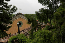 Anima_Mea 
 
2012-07-09 17:57:44