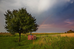 ZAC 
Klejniki 
2012-07-12 12:39:33