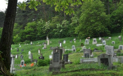 aristocats 
Jimbor Village Cemetery in the Woods 
2012-07-14 15:53:06
