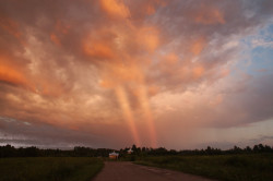 kcenia.belova 
Чудный свет 
82 
2012-07-16 08:53:37