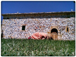 bozur 
Благослови душе моја Господа 
2012-08-01 11:25:19