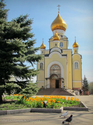 Sergey_Fandikov 
Свято-Владимирский храм 
2012-08-08 16:28:44