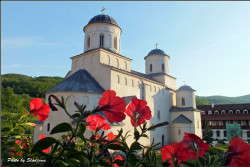 Daxy 
Manastir Mileseva 2 
2012-08-20 18:54:38