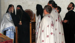 Miladin Šuškal 
GORE, braćo i oci , GORE 
2012-08-31 23:24:37