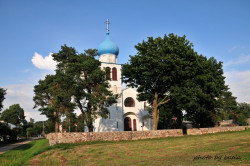 bargus 
Jaczno 
2012-09-02 08:33:46