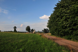 bargus 
Cmentarz w Jacznie 
2012-09-02 08:34:44